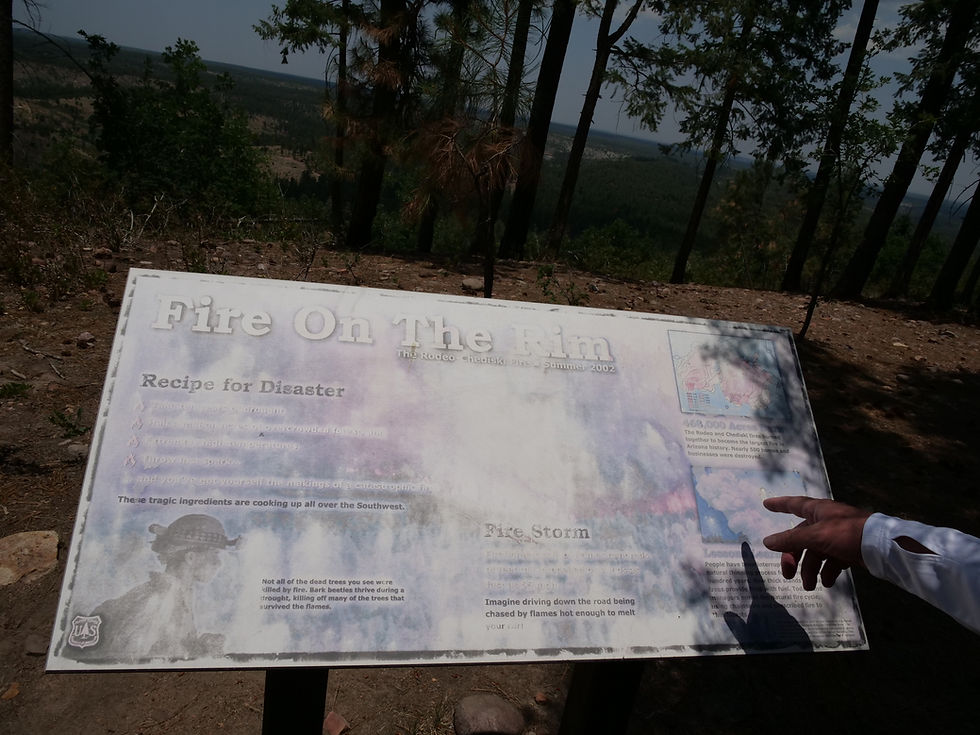 20250711_GentryLookOut_Fire_A.JPG