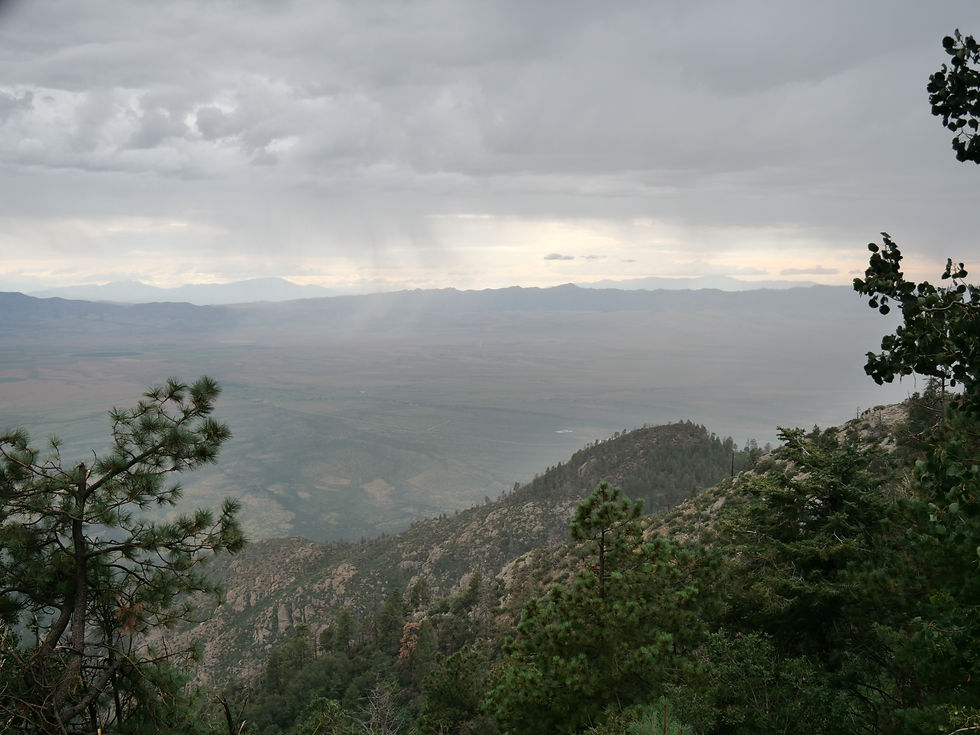 20230820_MtGraham_View_D.JPG