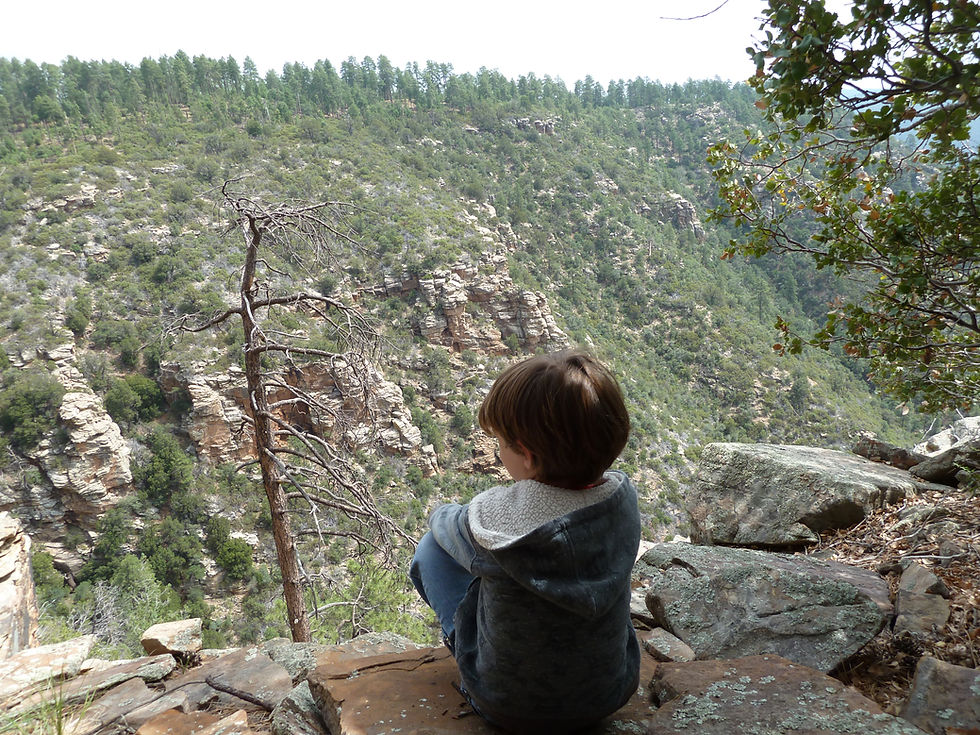 20110813_MogollonRim_FR608_View_Luca_N.JPG