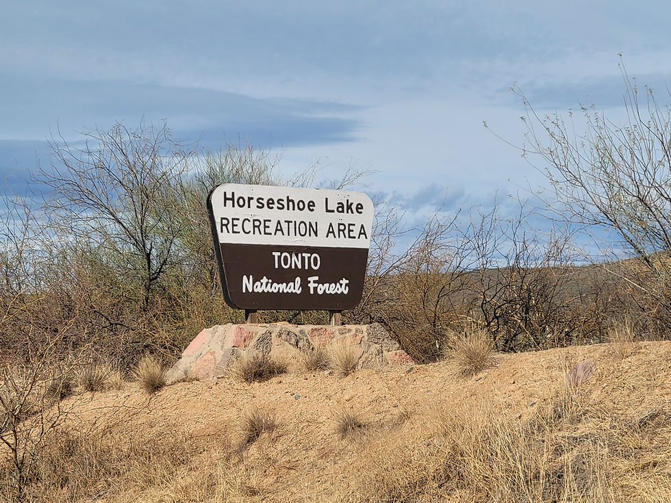 20250210_HorseshoeLake_Recreation.jpg