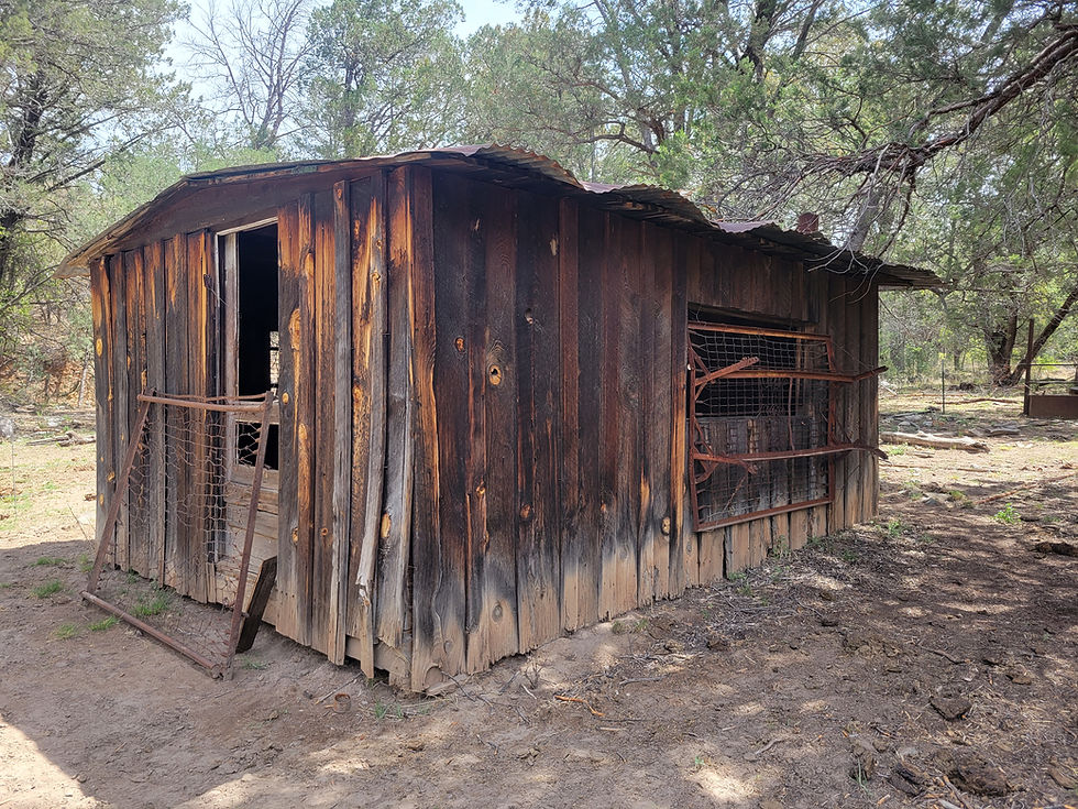 20260504_Chricachua_Ranch_C.jpg