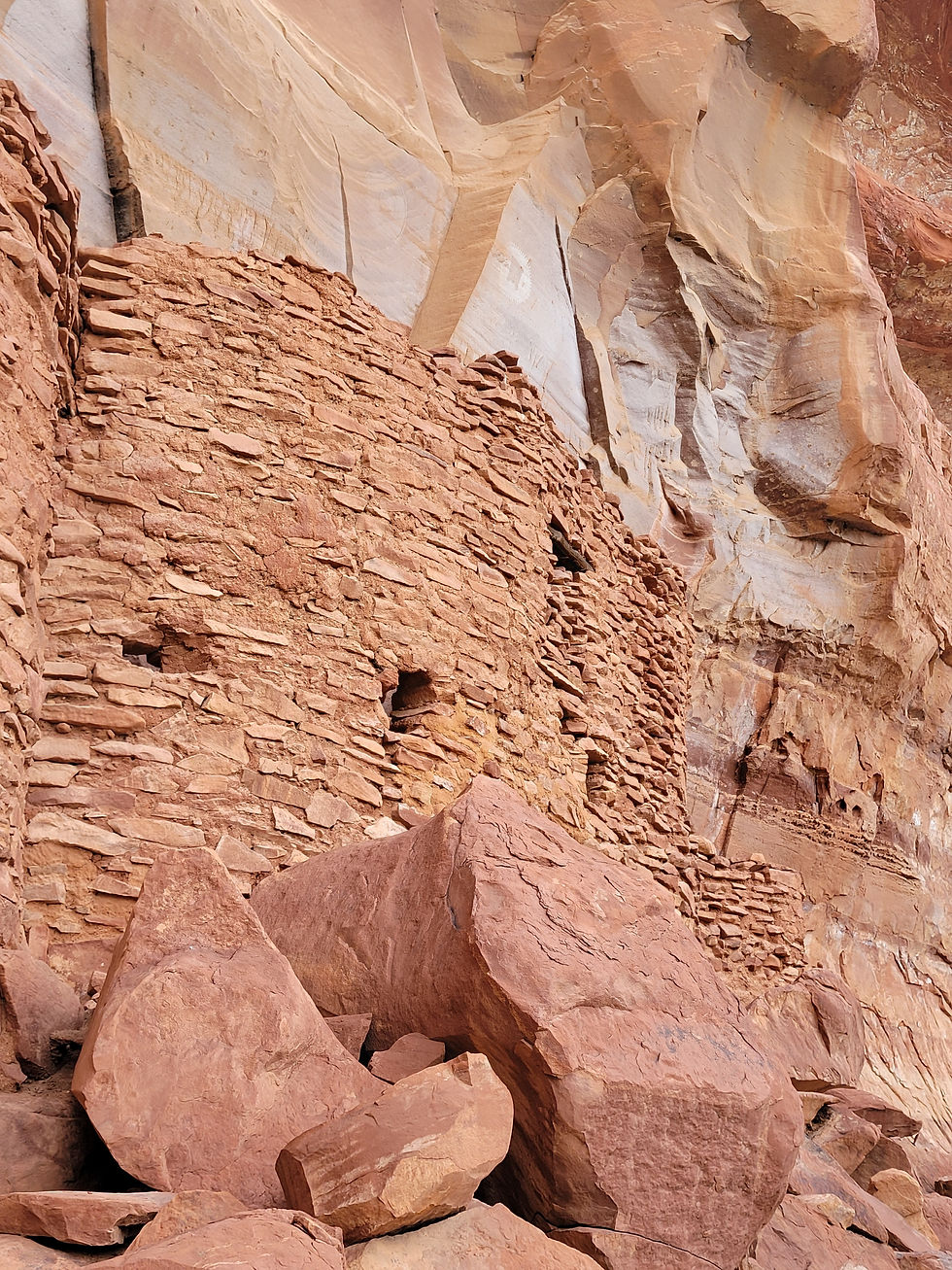 20230412_PalatkiHeritageSite_dwelling_E.jpg