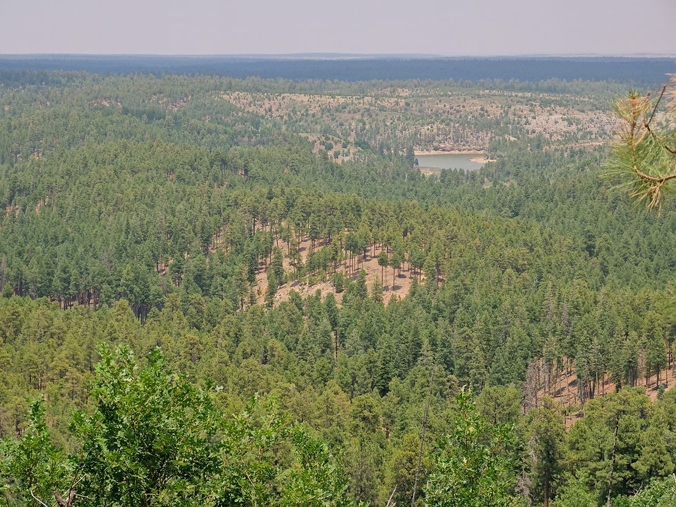 20250711_GentryLookOut_View_F.JPG