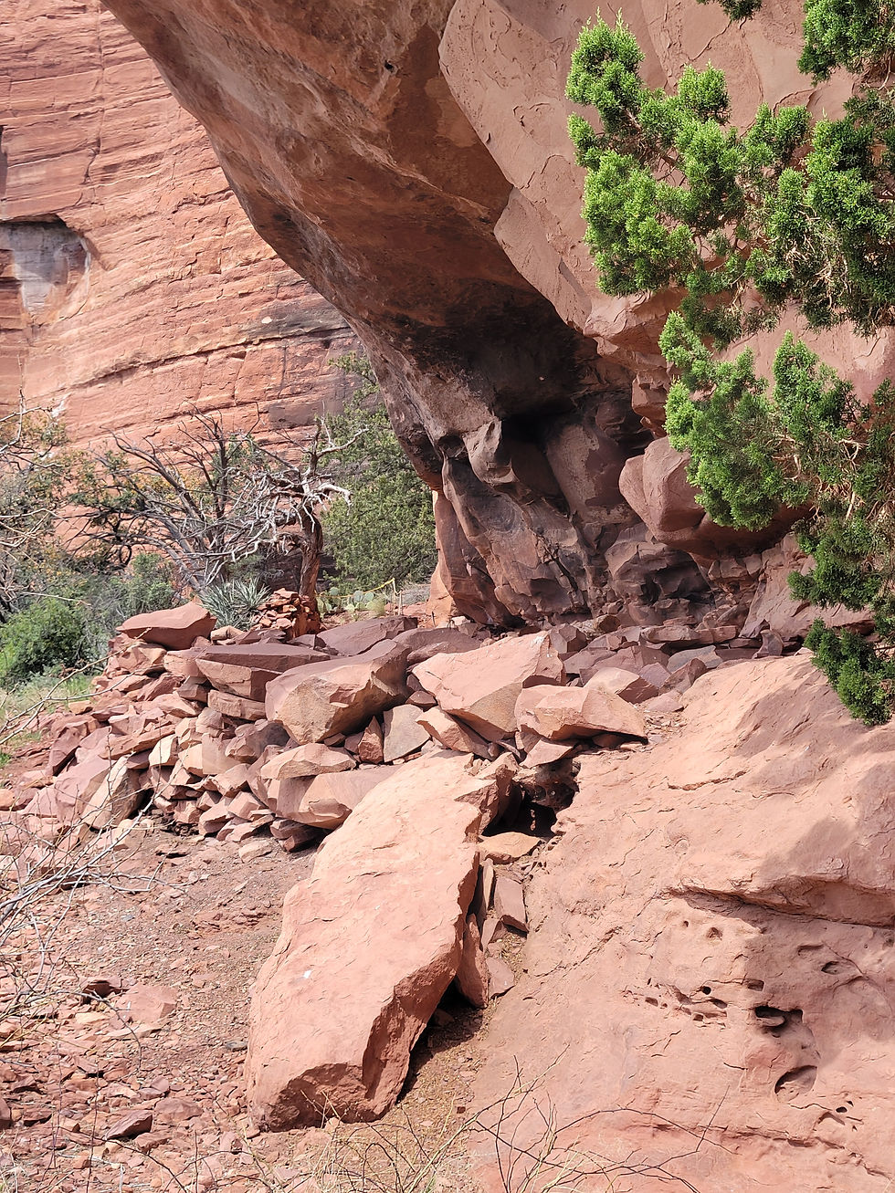 20230412_PalatkiHeritageSite_dwelling_G.jpg