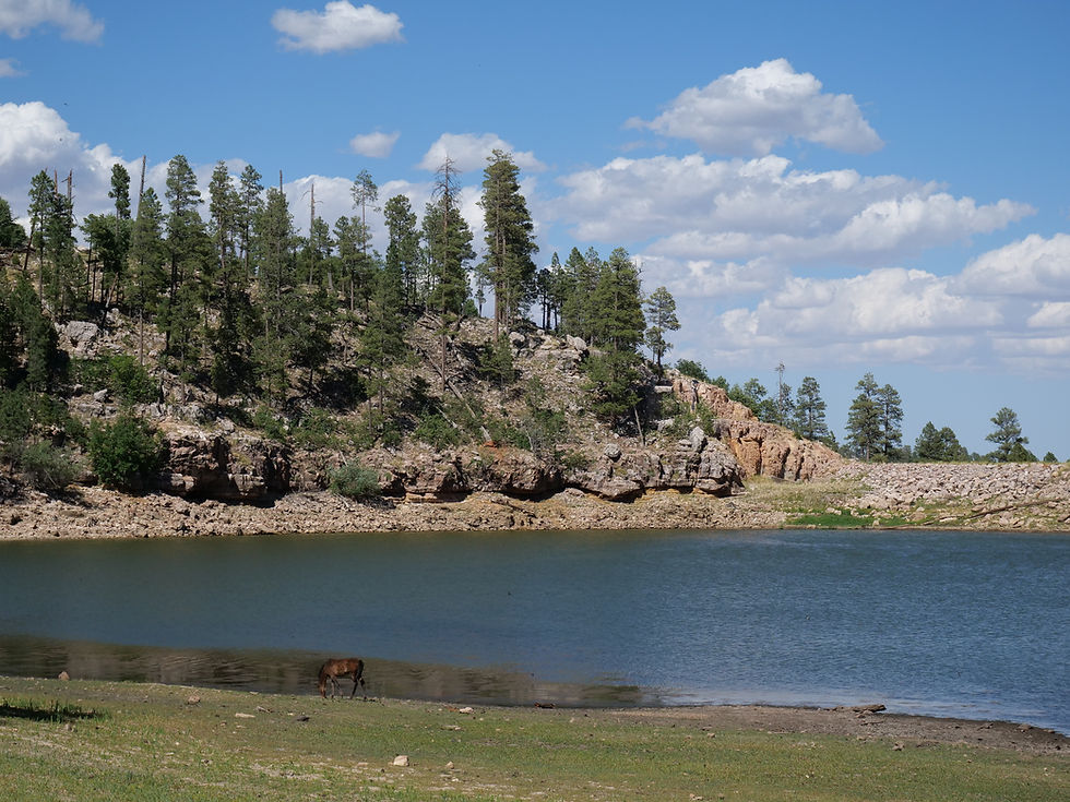 20250711_BlackCanyonLake_E.JPG