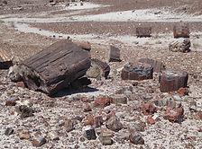 Petrified Forest National Park - Adamana, Arizona