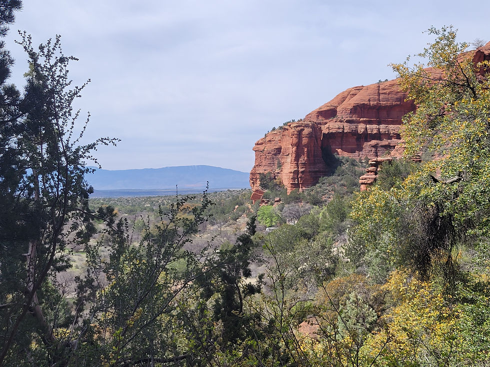 20230412_PalatkiHeritageSite_View_A.jpg