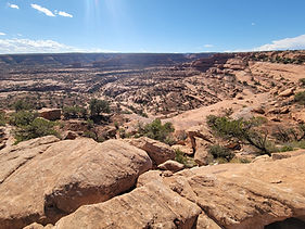 Fish Creek Canyon Wilderness Study Area The Twist Cedar Mesa Comb Ridge Utah Bears Ears camping slickrock