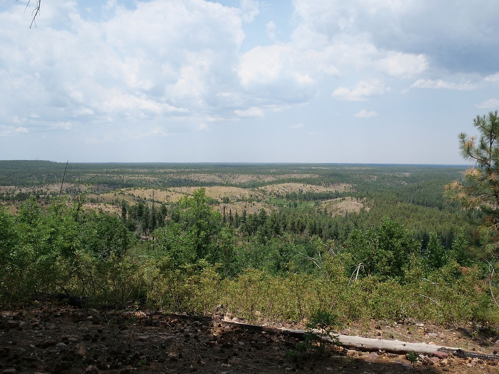 20250711_GentryLookOut_View_A.JPG
