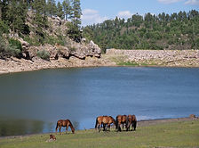 Black Canyon Lake, Apache-Sitgreaves National Forest, Arizona