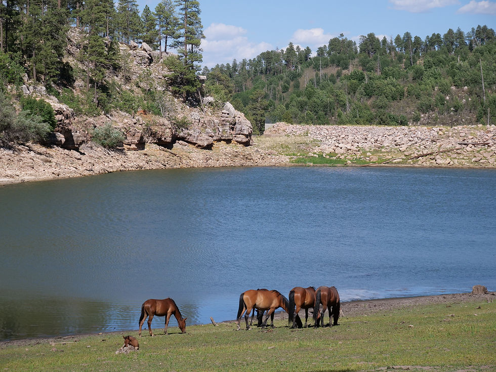 20250711_BlackCanyonLake_h.JPG