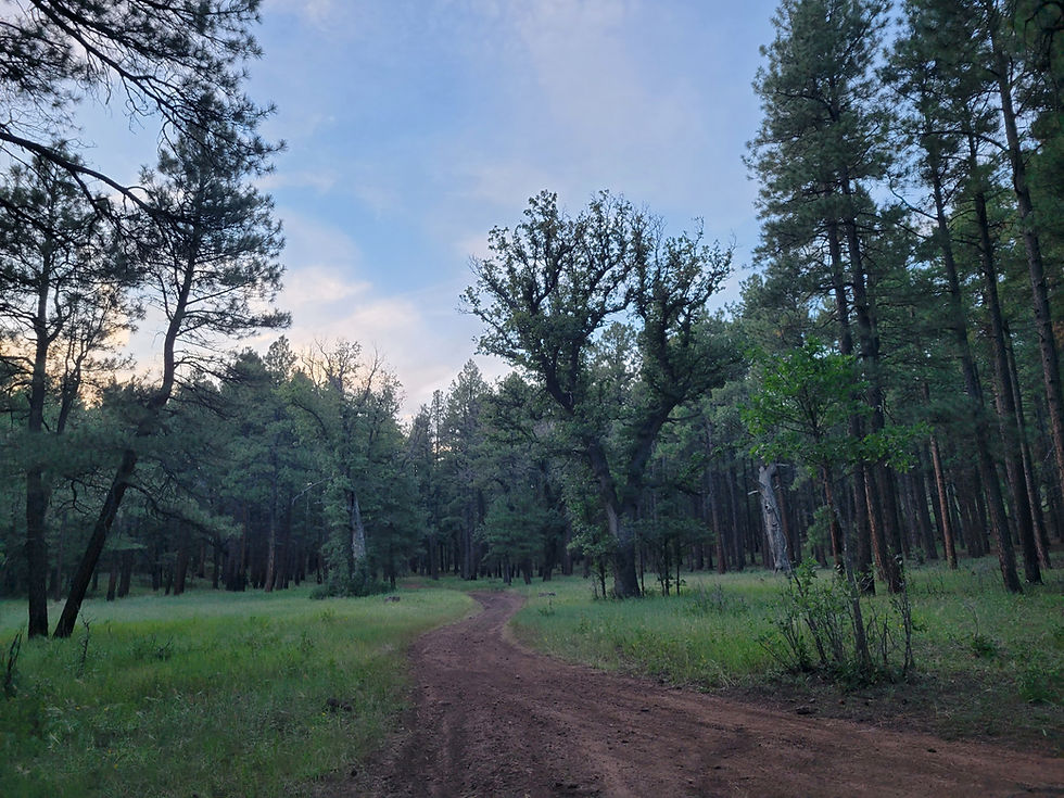 20260906_Jacks-Canyon-230B_Hike.jpg