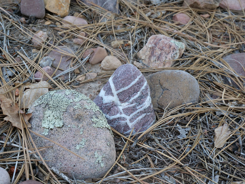 20250708_BlackCanyonLake_Rock.JPG