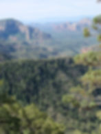 Looking down into the Canyon