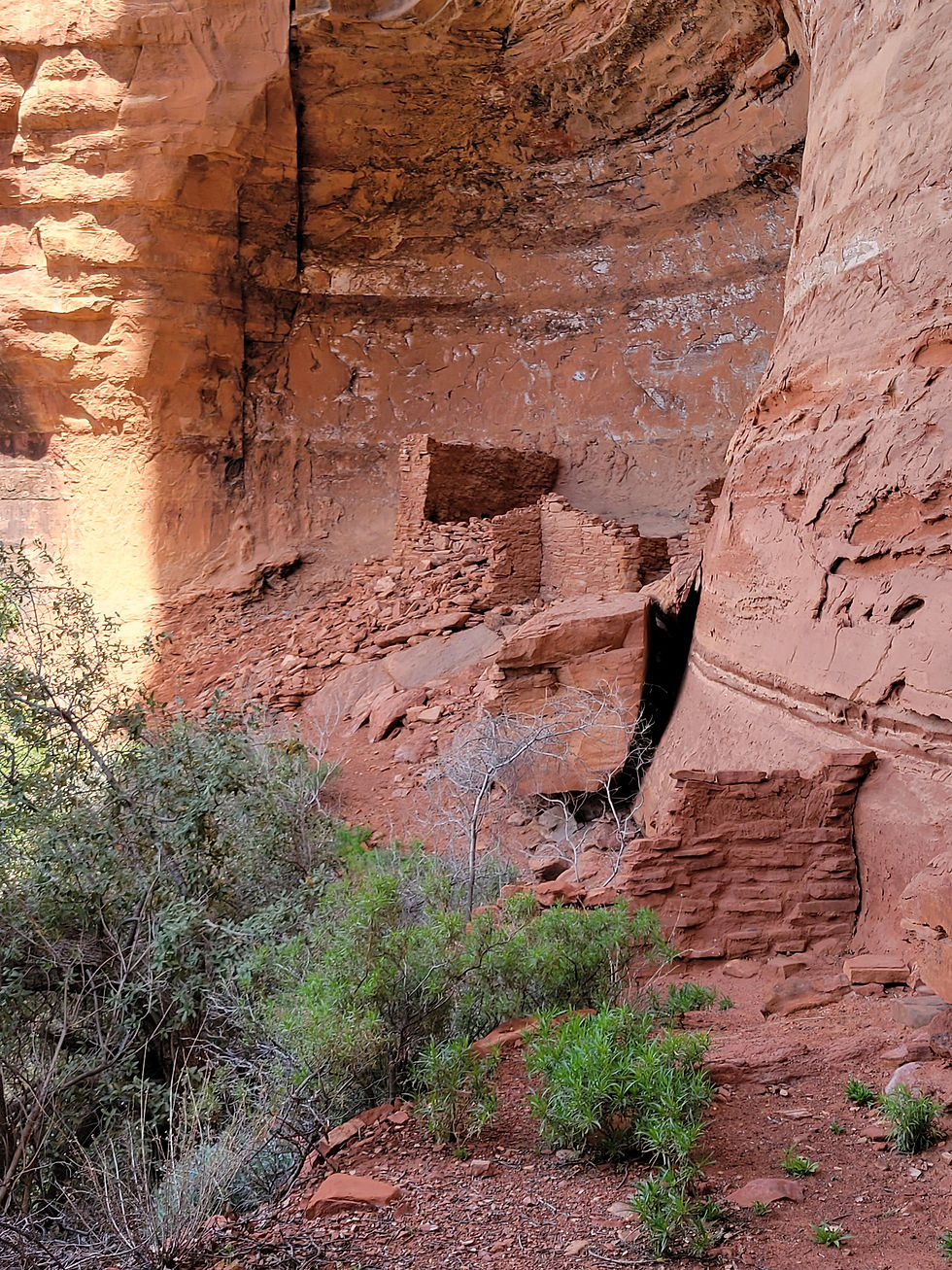 20230412_PalatkiHeritageSite_dwelling_D.jpg