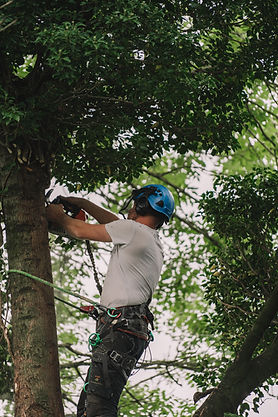 Pro-Jacks (35 of 54).jpg