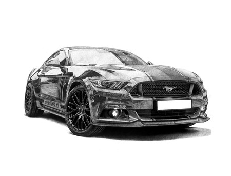 Mustang 23.4 by 33.1 Inches