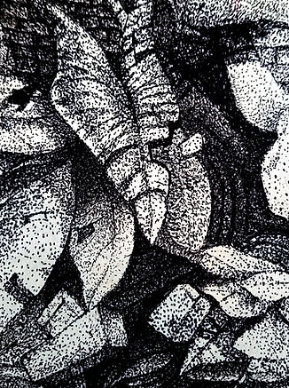 20220621_101924.jpg