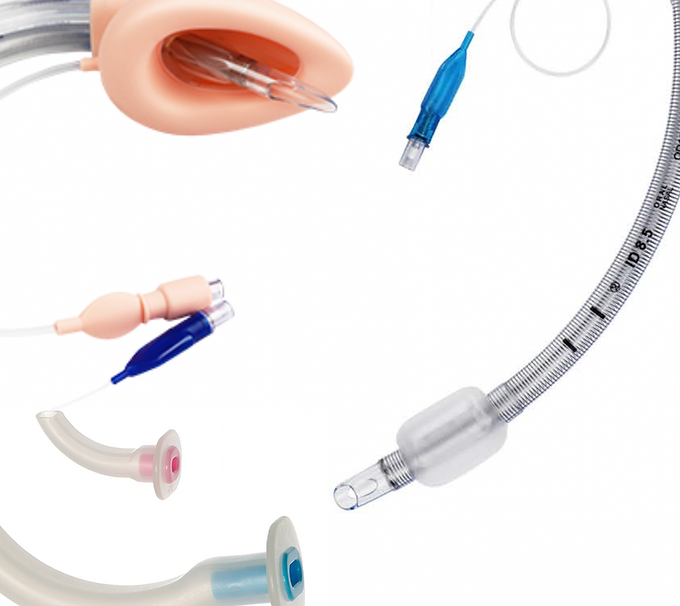 Screenshot 2025-01-30 at 20.41.37.png