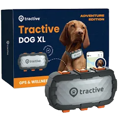 La Sécurité et le Bien-être de Votre Chien : Un Guide Complet sur l’Utilisation des Colliers GPS Tractive chez Ça du Chien