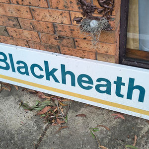 Blackheath Station Sign (CityRail)