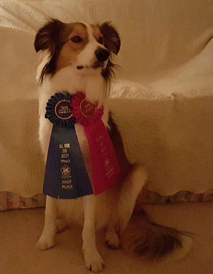 Neila after her frist USDAA trial