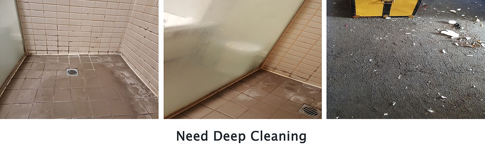Deep cleaning2.jpg
