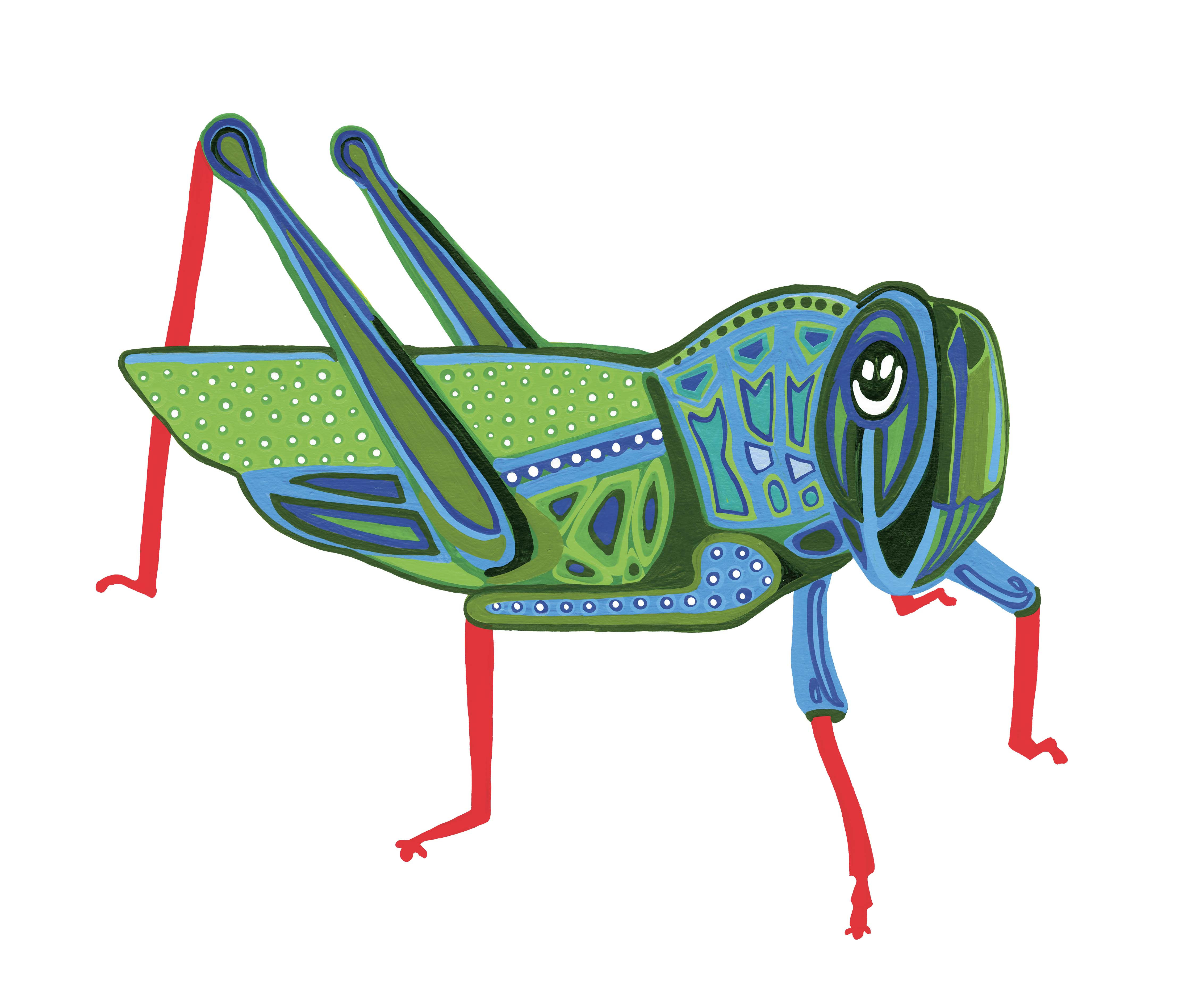 Original Illustration "Grasshopper" from "Our Bugs"