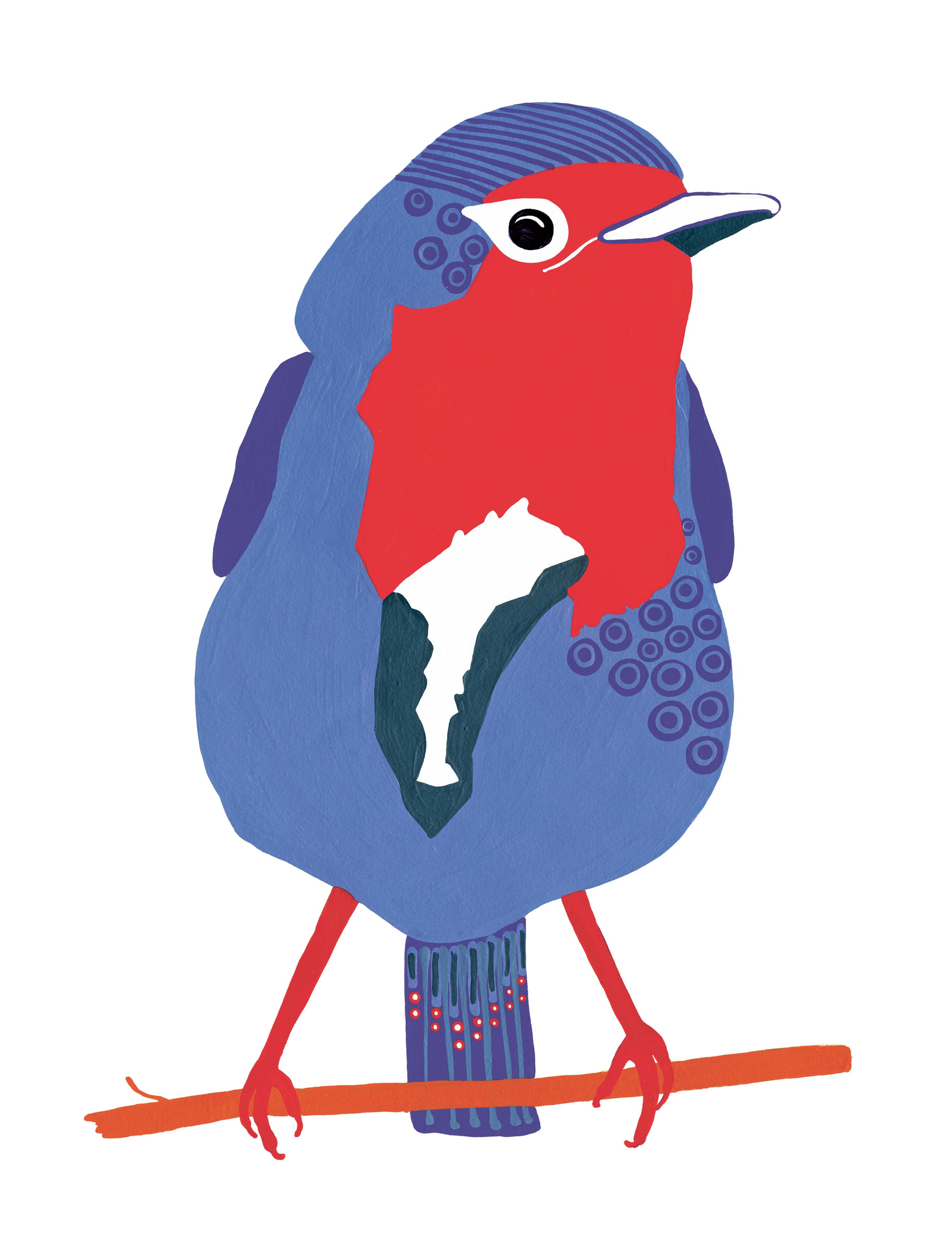 Original illustration "Robin" from "Our Birds"