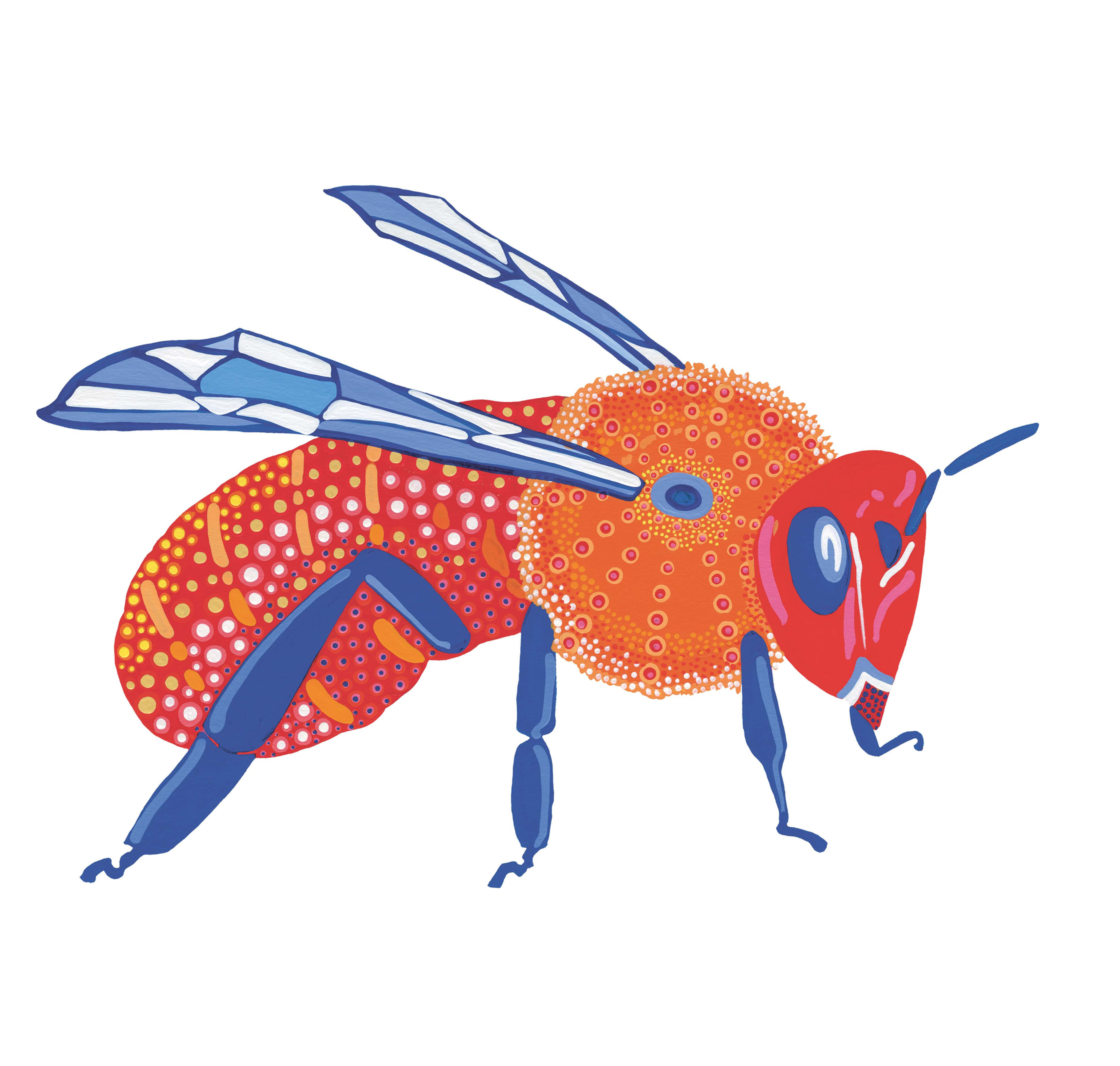 Original Illustration "Honey Bee" from "Our Bugs"