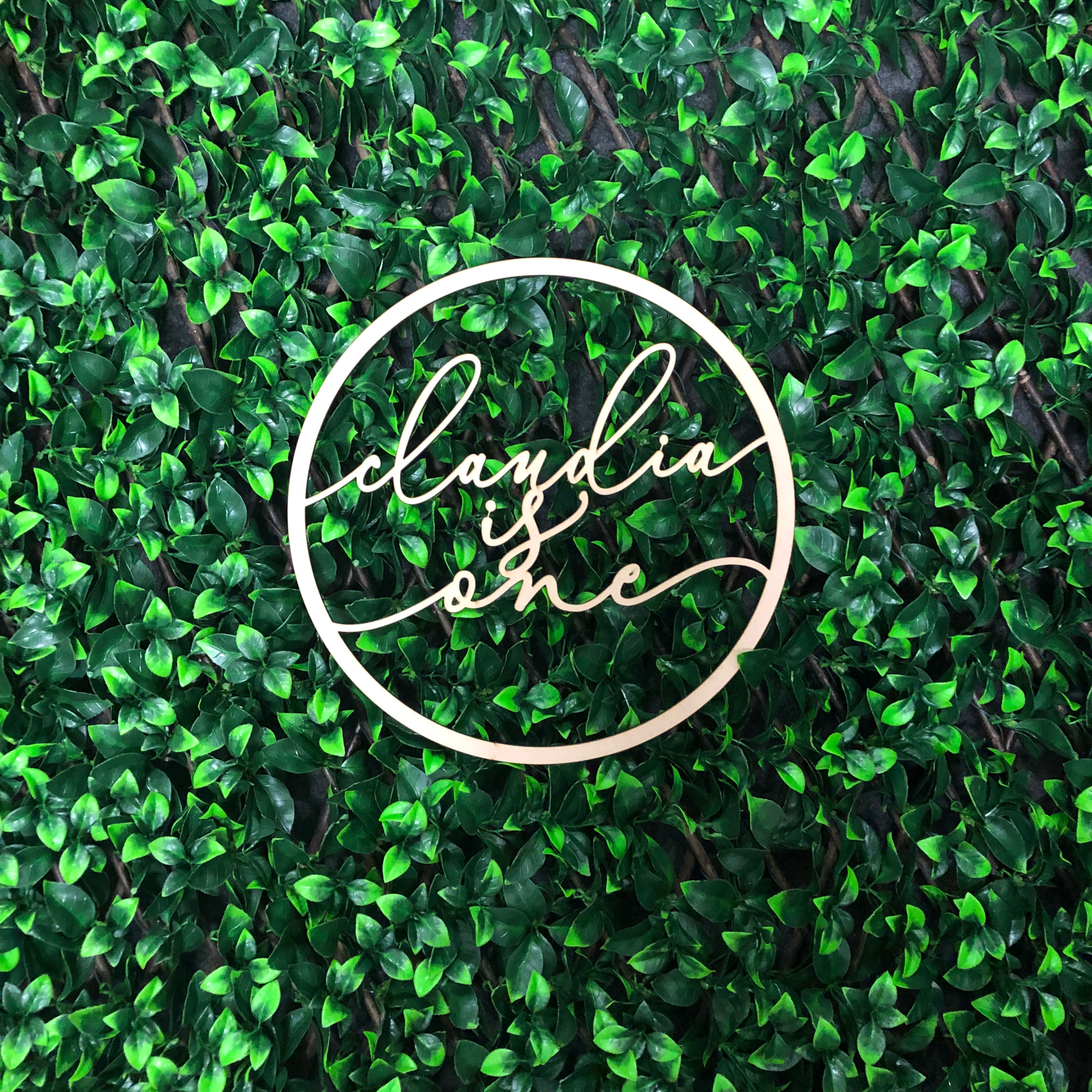 Custom Name is One - Wooden Hoop Sign - Event Signage