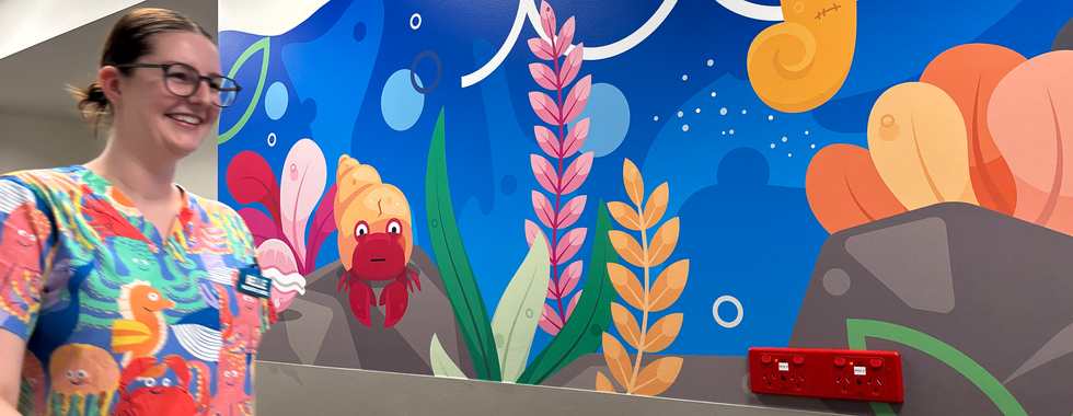 Play9 Wall Artwork Epworth staff paediatric ward