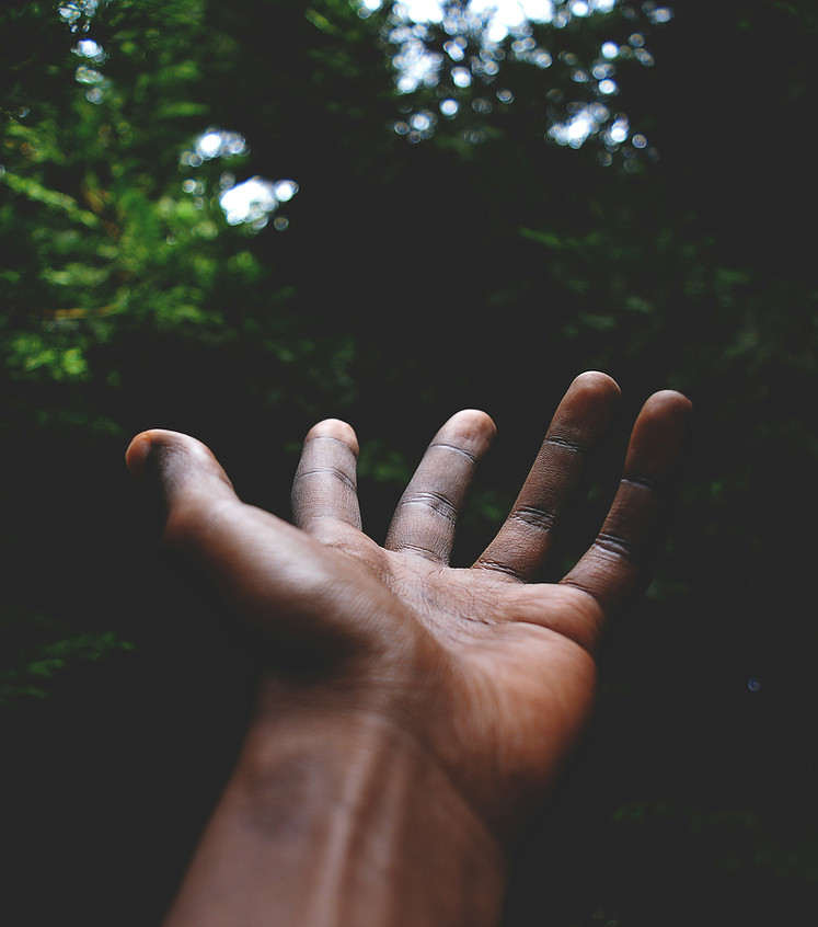 leadership agricole afrique