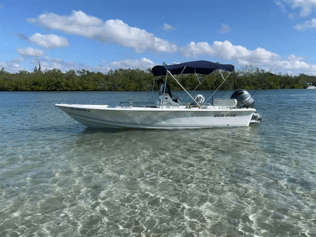 Boat pic.gif