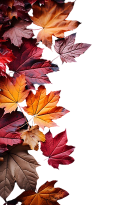 7d31d87b-3c3f-4a54-80bb-291a0f329e0b.png