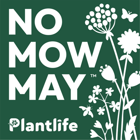 No Mow May 2025 - Get Ready and Sign Up