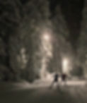 NordicSki-664x789 nighttime.jpg