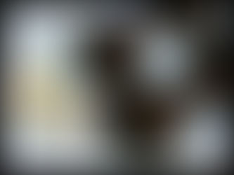 Des Plantations Écolo Bio et Zéro Déchet chez Soi c'est Possible