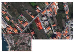 Projeto 7