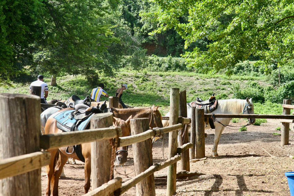 Riders preparing horses for trail ride