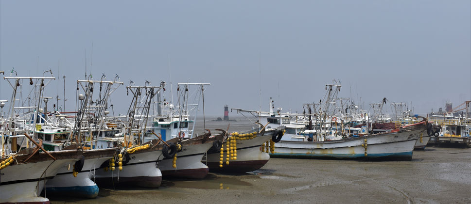Les bâteaux de Gunsan.JPG