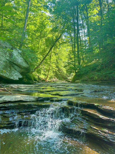 Nature