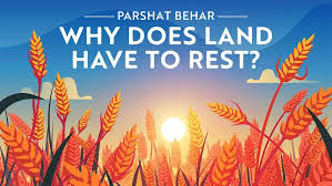 D'var Torah for Parashat Behar-Bechukotai 5786 