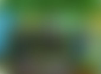 D'var Torah for Parashat Emor 5786