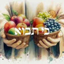 D'var Torah for כִּי־תָבוֹא / Ki Tavo 5785 13 September 2025 / 20 Elul 5785