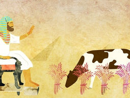 D'var Torah for פָּרָשַׁת מִקֵּץ / Parashat Miketz 5786 20 December 2025 / 30 Kislev 5786