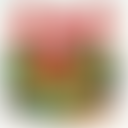 Shabbat Shalom שבת שלום (October 9, 2022)