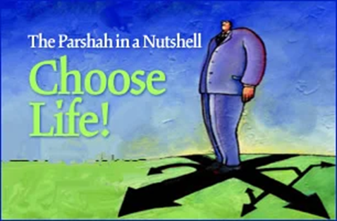 This week's 10-Minute Torah (September 24, 2022): "Parashat Nitzavim" 5782