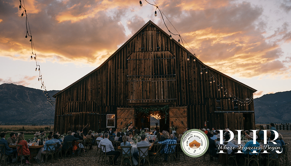 main image website 3.png