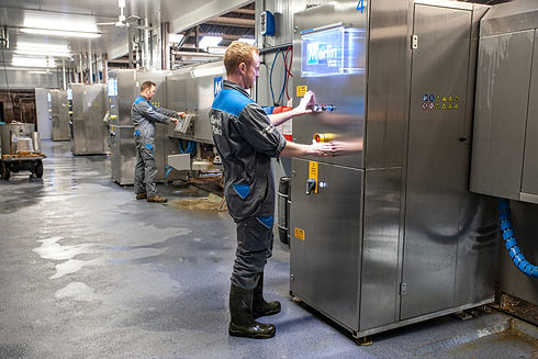 Noorderschorren Melkrobots in de koeienstal Texel.jpg